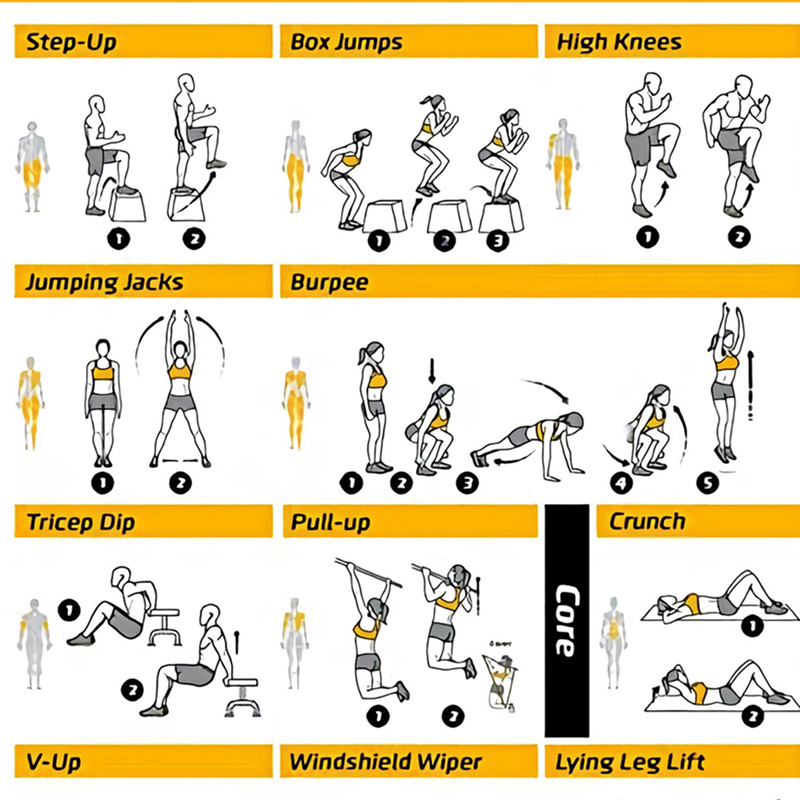 Pósteres de Tabla de Ejercicio - Sports Equipment Poster reseña y precio
