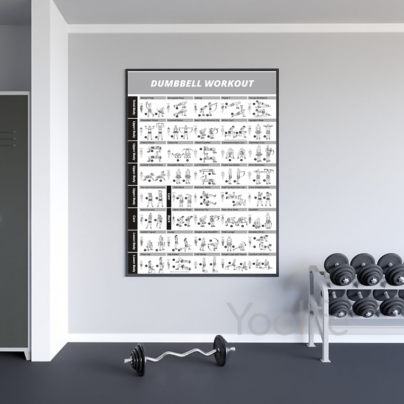 Pósteres de Tabla de Ejercicio - Sports Equipment Poster reseña y precio